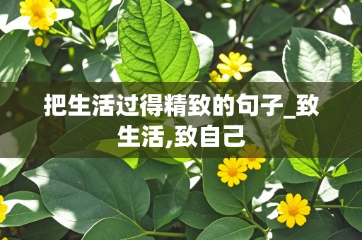 把生活过得精致的句子_致生活,致自己