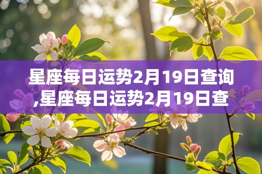 星座每日运势2月19日查询,星座每日运势2月19日查询