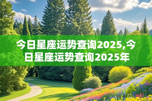 今日星座运势查询2025,今日星座运势查询2025年