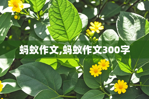 蚂蚁作文,蚂蚁作文300字