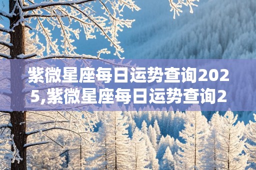 紫微星座每日运势查询2025,紫微星座每日运势查询2025年