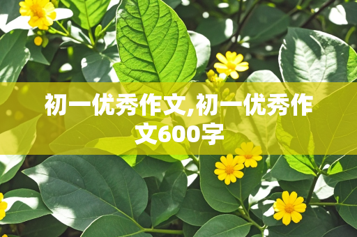 初一优秀作文,初一优秀作文600字