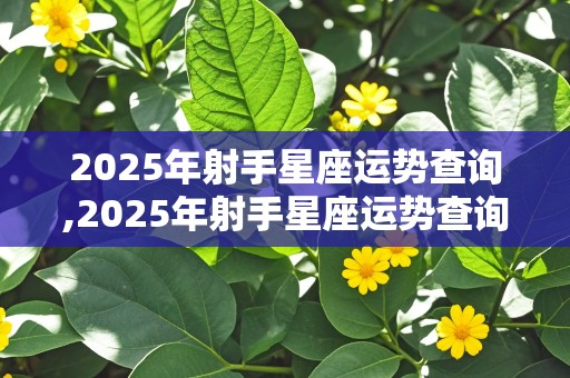 2025年射手星座运势查询,2025年射手星座运势查询表