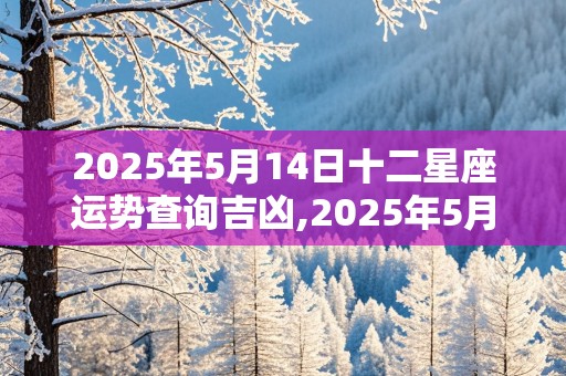 2025年5月14日十二星座运势查询吉凶,2025年5月14日十二星座运势查询吉凶详解