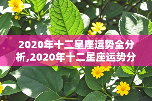 2020年十二星座运势全分析,2020年十二星座运势分析,你的运势会如何