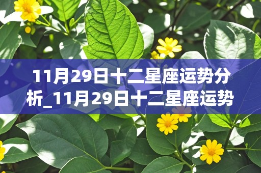 11月29日十二星座运势分析_11月29日十二星座运势分析