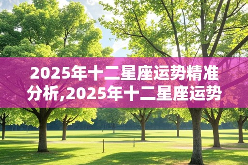 2025年十二星座运势精准分析,2025年十二星座运势精准分析图