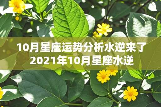 10月星座运势分析水逆来了 2021年10月星座水逆