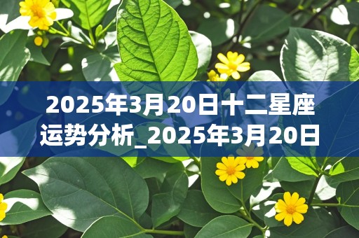 2025年3月20日十二星座运势分析_2025年3月20日十二星座运势分析