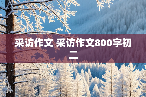 采访作文 采访作文800字初二