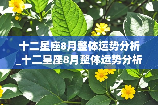 十二星座8月整体运势分析_十二星座8月整体运势分析图