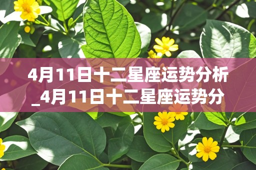 4月11日十二星座运势分析_4月11日十二星座运势分析