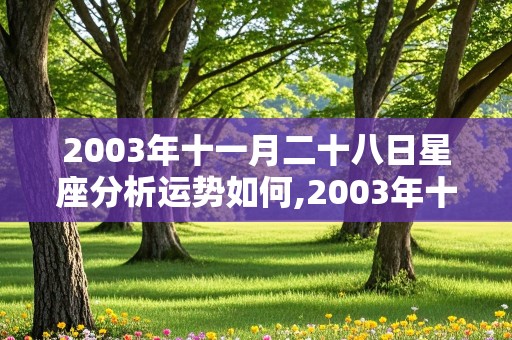 2003年十一月二十八日星座分析运势如何,2003年十一月二十八日星座分析运势如何