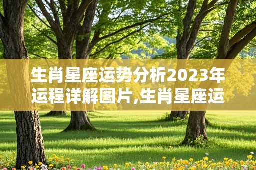 生肖星座运势分析2023年运程详解图片,生肖星座运势分析2023年运程详解图片大全