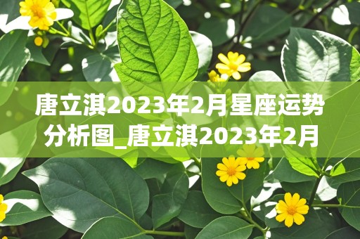 唐立淇2023年2月星座运势分析图_唐立淇2023年2月星座运势分析图片