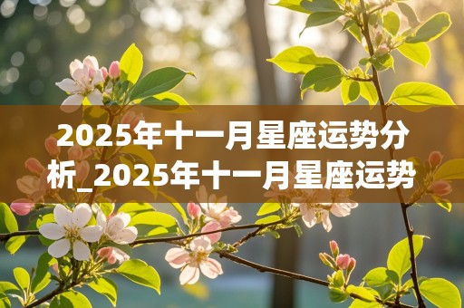 2025年十一月星座运势分析_2025年十一月星座运势分析图