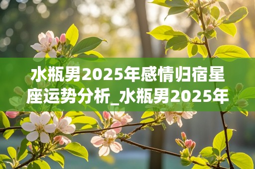 水瓶男2025年感情归宿星座运势分析_水瓶男2025年感情归宿星座运势分析