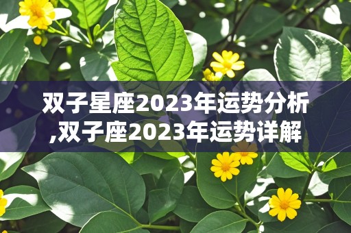 双子星座2023年运势分析,双子座2023年运势详解