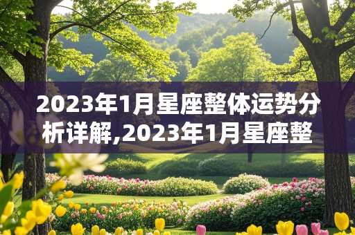 2023年1月星座整体运势分析详解,2023年1月星座整体运势分析详解图