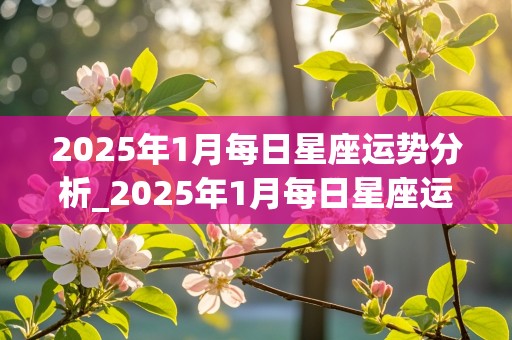 2025年1月每日星座运势分析_2025年1月每日星座运势分析图