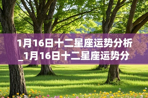 1月16日十二星座运势分析_1月16日十二星座运势分析