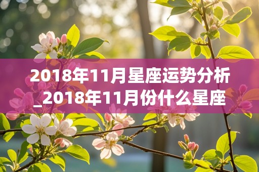 2018年11月星座运势分析_2018年11月份什么星座