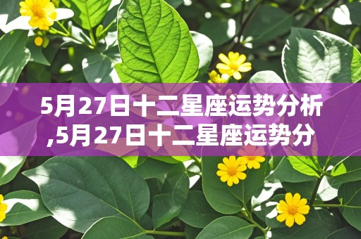 5月27日十二星座运势分析,5月27日十二星座运势分析图