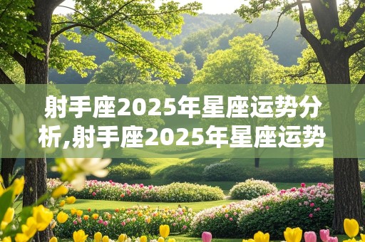 射手座2025年星座运势分析,射手座2025年星座运势分析图