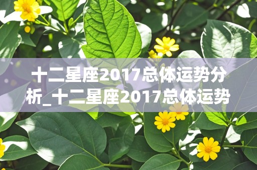 十二星座2017总体运势分析_十二星座2017总体运势分析图