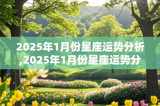 2025年1月份星座运势分析,2025年1月份星座运势分析图