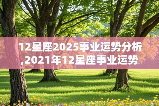 12星座2025事业运势分析,2021年12星座事业运势