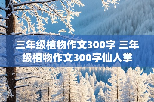 三年级植物作文300字 三年级植物作文300字仙人掌