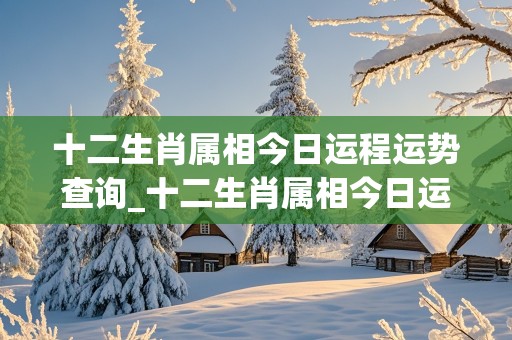 十二生肖属相今日运程运势查询_十二生肖属相今日运程运势查询表