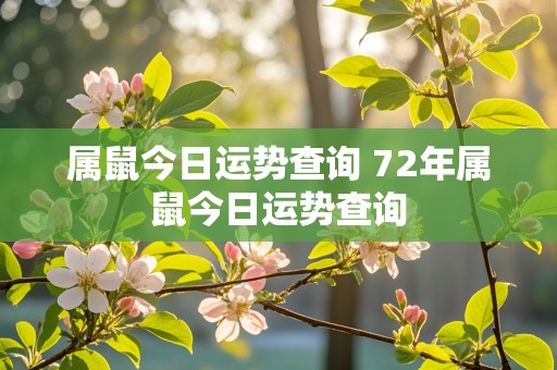 属鼠今日运势查询 72年属鼠今日运势查询