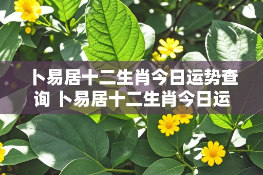 卜易居十二生肖今日运势查询 卜易居十二生肖今日运势查询女人下天补气血