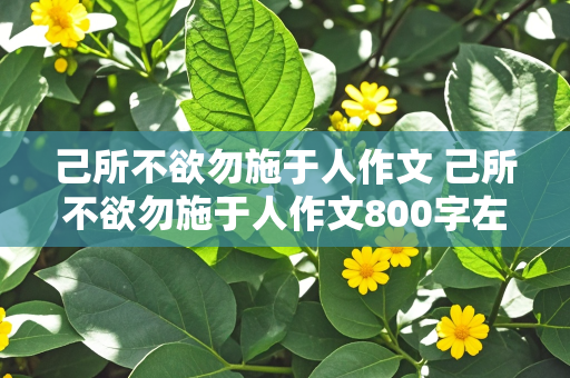 己所不欲勿施于人作文 己所不欲勿施于人作文800字左右高中