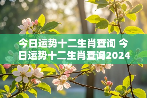 今日运势十二生肖查询 今日运势十二生肖查询2024年12月30