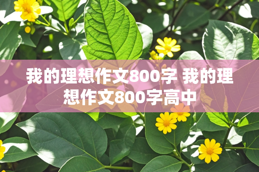 我的理想作文800字 我的理想作文800字高中