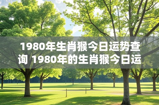 1980年生肖猴今日运势查询 1980年的生肖猴今日运势