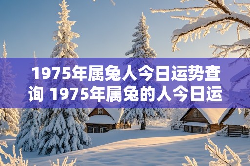 1975年属兔人今日运势查询 1975年属兔的人今日运势