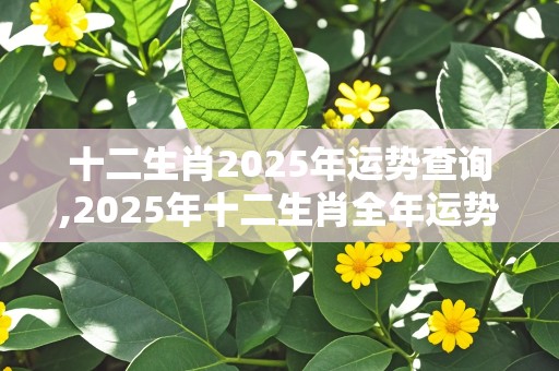 十二生肖2025年运势查询,2025年十二生肖全年运势完整版