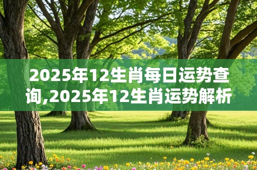 2025年12生肖每日运势查询,2025年12生肖运势解析完整版