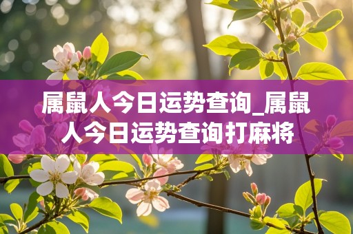 属鼠人今日运势查询_属鼠人今日运势查询打麻将