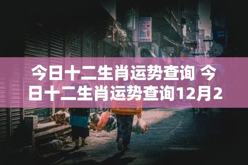 今日十二生肖运势查询 今日十二生肖运势查询12月22日