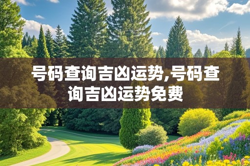 号码查询吉凶运势,号码查询吉凶运势免费