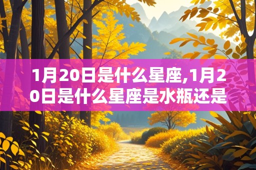 1月20日是什么星座,1月20日是什么星座是水瓶还是摩羯