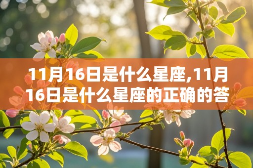 11月16日是什么星座,11月16日是什么星座的正确的答案