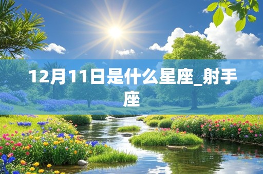 12月11日是什么星座_射手座