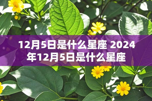 12月5日是什么星座 2024年12月5日是什么星座