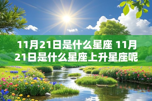 11月21日是什么星座 11月21日是什么星座上升星座呢